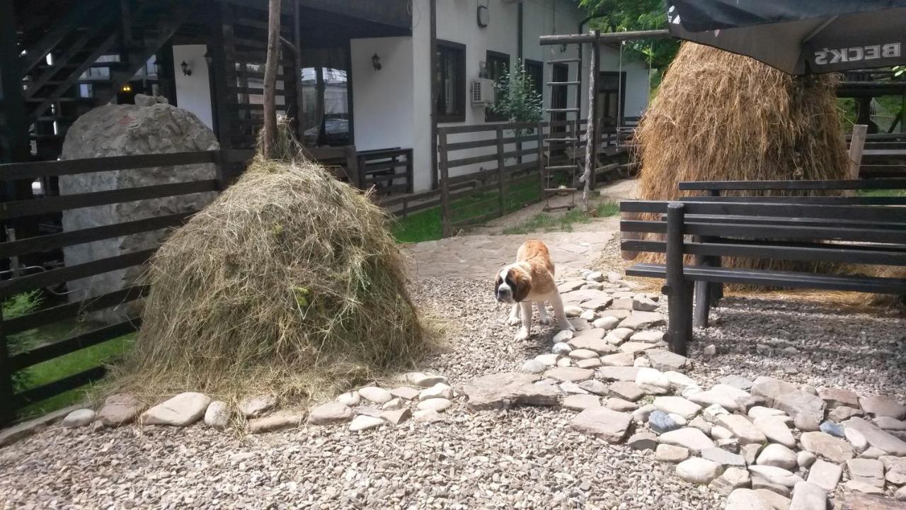Pension Casa Drumetului Piatra Neamţ Esterno foto
