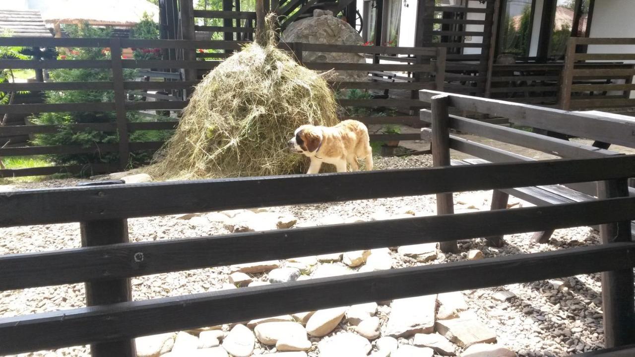 Pension Casa Drumetului Piatra Neamţ Esterno foto