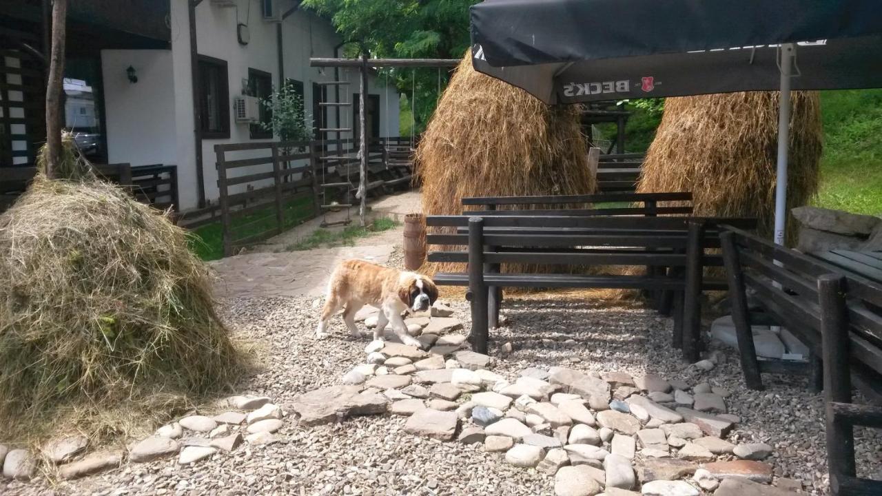 Pension Casa Drumetului Piatra Neamţ Esterno foto